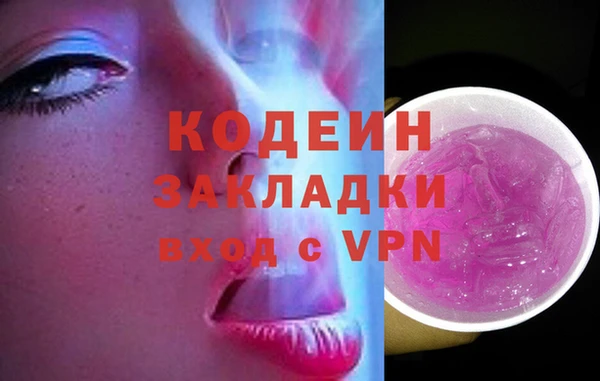 шишки Дмитровск