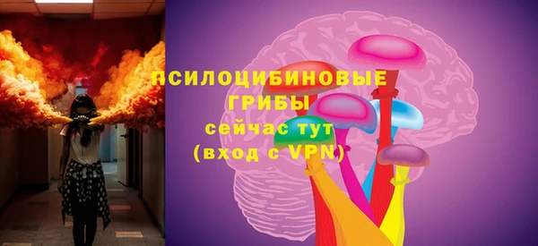 тгк Елизово