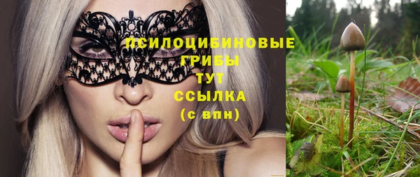 мяу мяу кристалл Ельня
