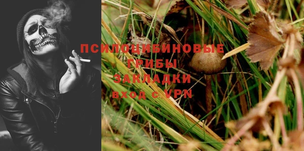 мяу мяу кристалл Ельня