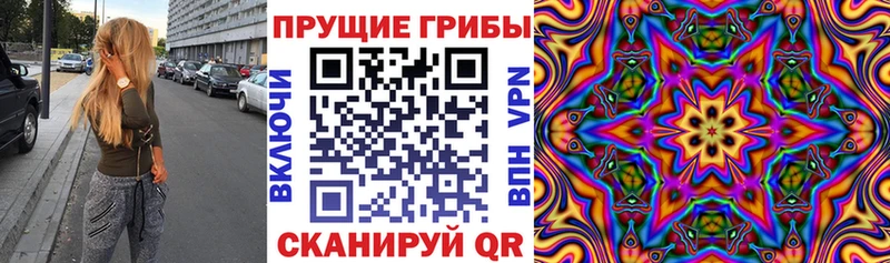 Псилоцибиновые грибы ЛСД  Купить где  Губаха 